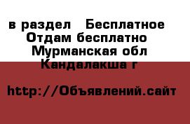  в раздел : Бесплатное » Отдам бесплатно . Мурманская обл.,Кандалакша г.